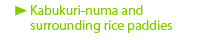 Kabukuri-numa and surrounding rice paddies