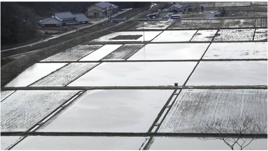  Flooding rice paddies in wintertime(Toyooka City)