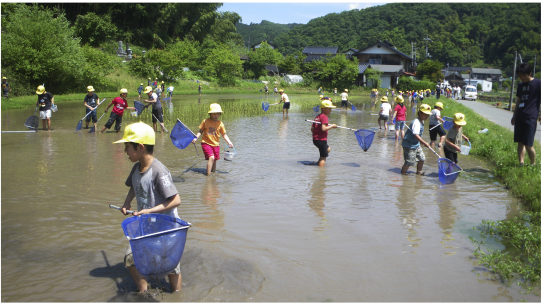 Children searching for "life in the rice paddy "(Rice Paddy Organism Survey) (Toyooka City)