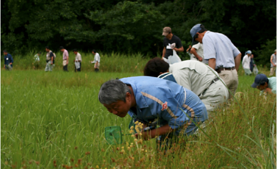 Rice paddy organism survey (Sado City)