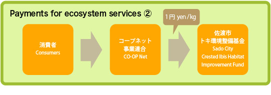 Payments for ecosystem services 2