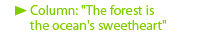 Column: "The forest is the ocean's sweetheart"