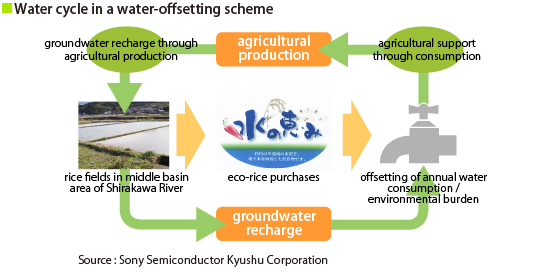 Water cycle in a water-offsetting scheme