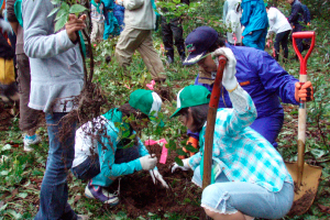 Planting young beech trees in the water source of Miomotegawa River (Murakami City)