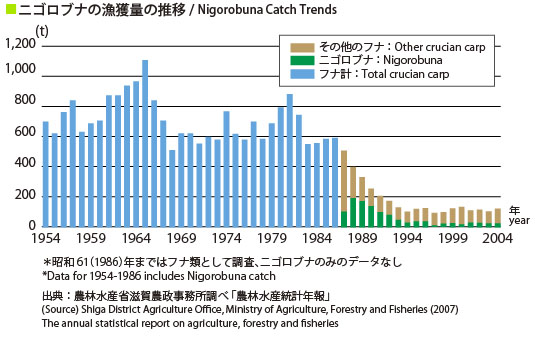 ニゴロブナの漁獲量の推移の図