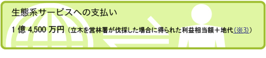 生態系サービスへの支払いの図