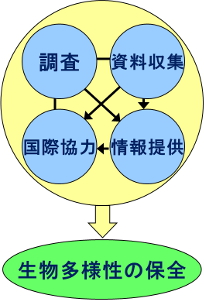 業務概要