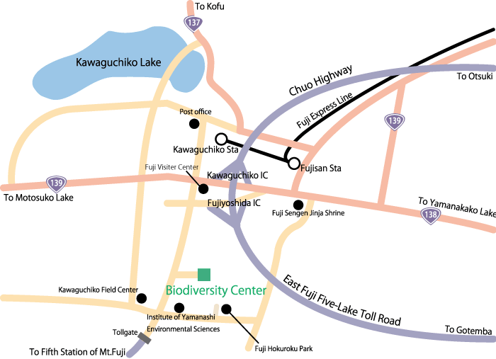 Access Map