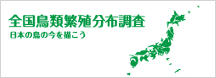 全国鳥類繁殖分布調査