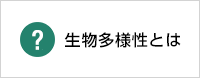 生物多様性とは