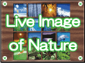 Internet Nature Institute