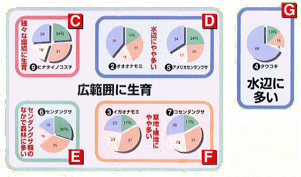 fig29cdefg.jpg (42788 oCg)