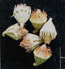 photo12.jpg (12011 バイト)