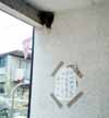 sss09sn.jpg (5035 バイト)