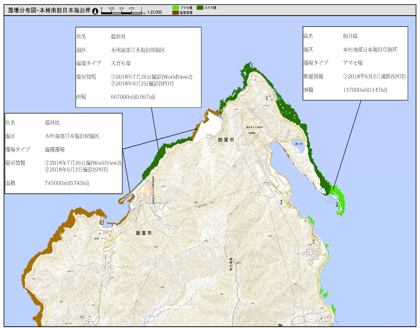 図  藻場分布図イメージ（本州南部日本海沿岸海区の福井県敦賀市沿岸）。