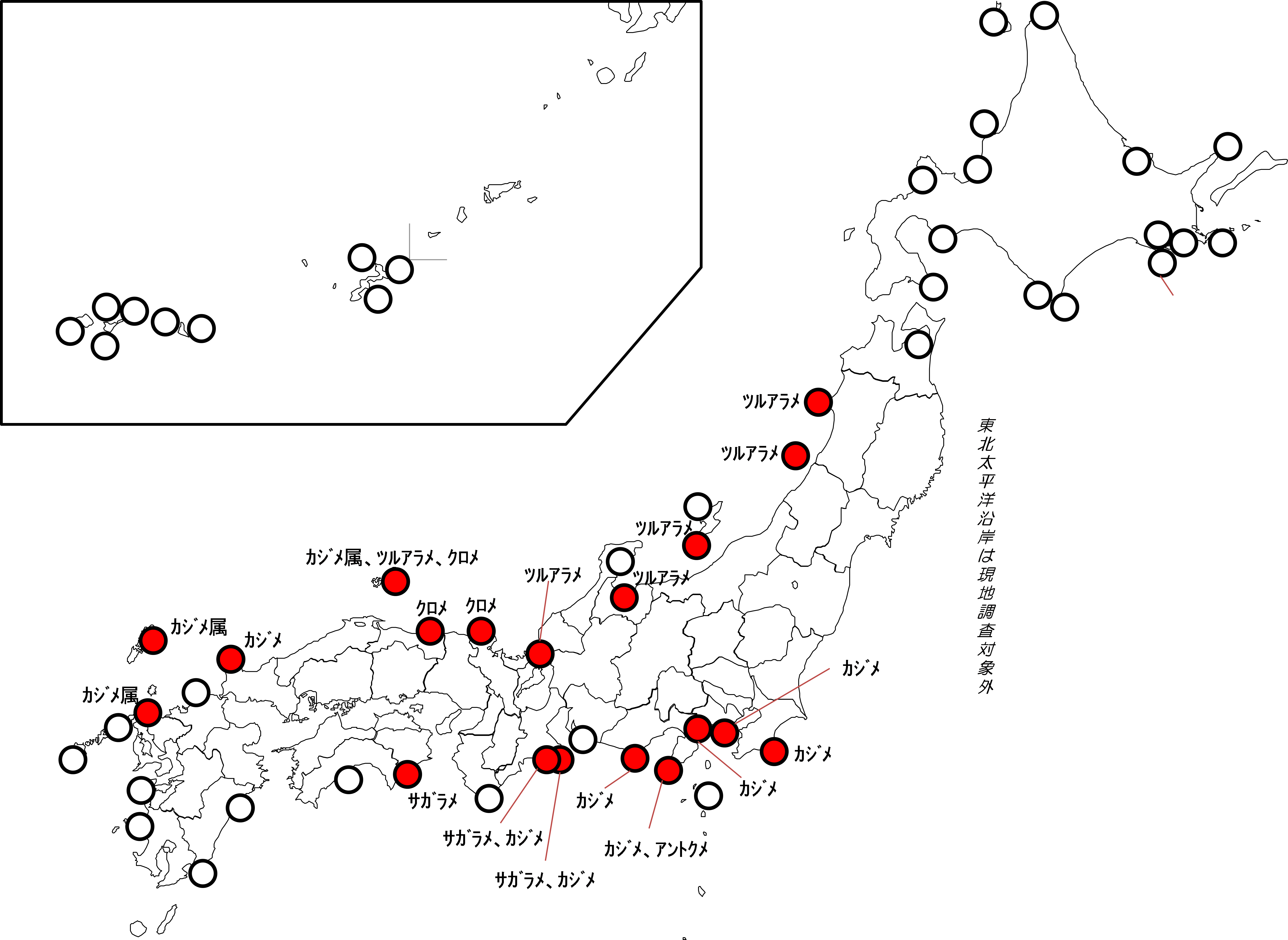 図  カジメ場の分布（赤いプロットがカジメ場が確認された海域）。