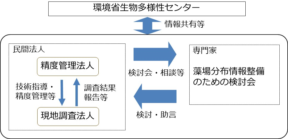 図　検討・実施体制。