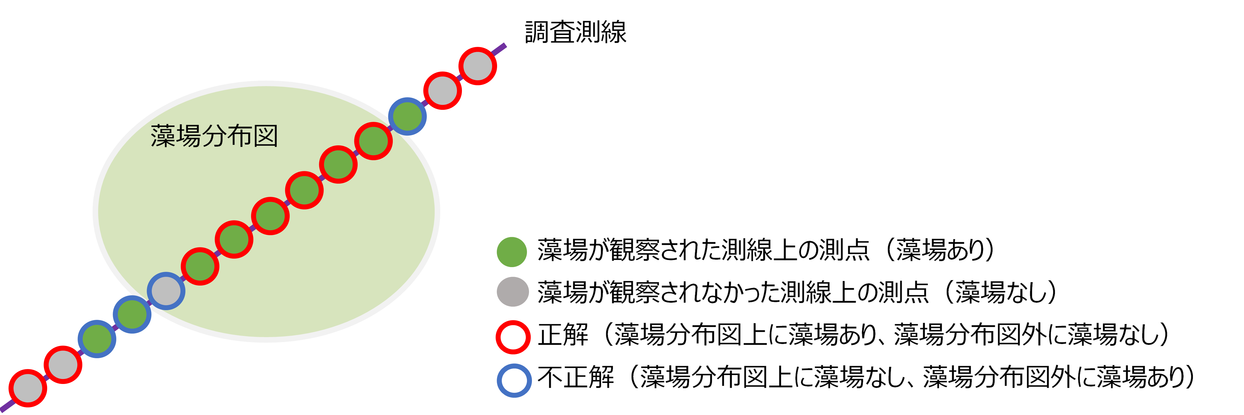 図　藻場分布図の精度検証（確からしさの確認）のイメージ（水中動画連続撮影の例）。