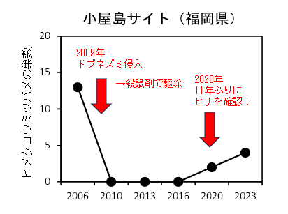 ヒメクロウミツバメの巣数の経年変化