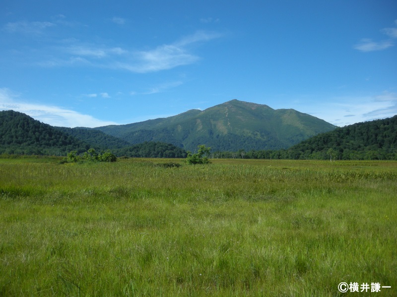 生態系「陸水域」2