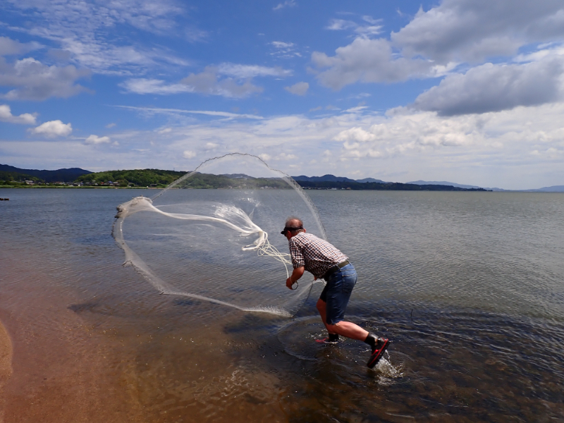 湖沼調査（水生植物・淡水魚類）の様子