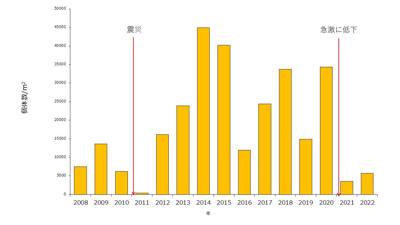 松川浦サイトの磯部ポイントにおける底生動物の個体数密度の変化