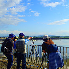 沿岸域（シギ・チドリ類）調査_サイト外_いしかり講習会（調査風景）