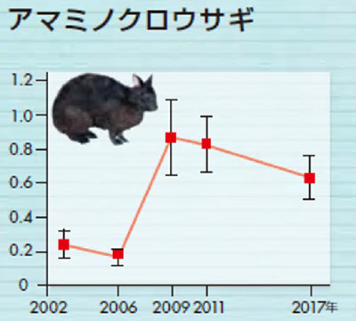 在来種の発見頭数（アマミノクロウサギ）