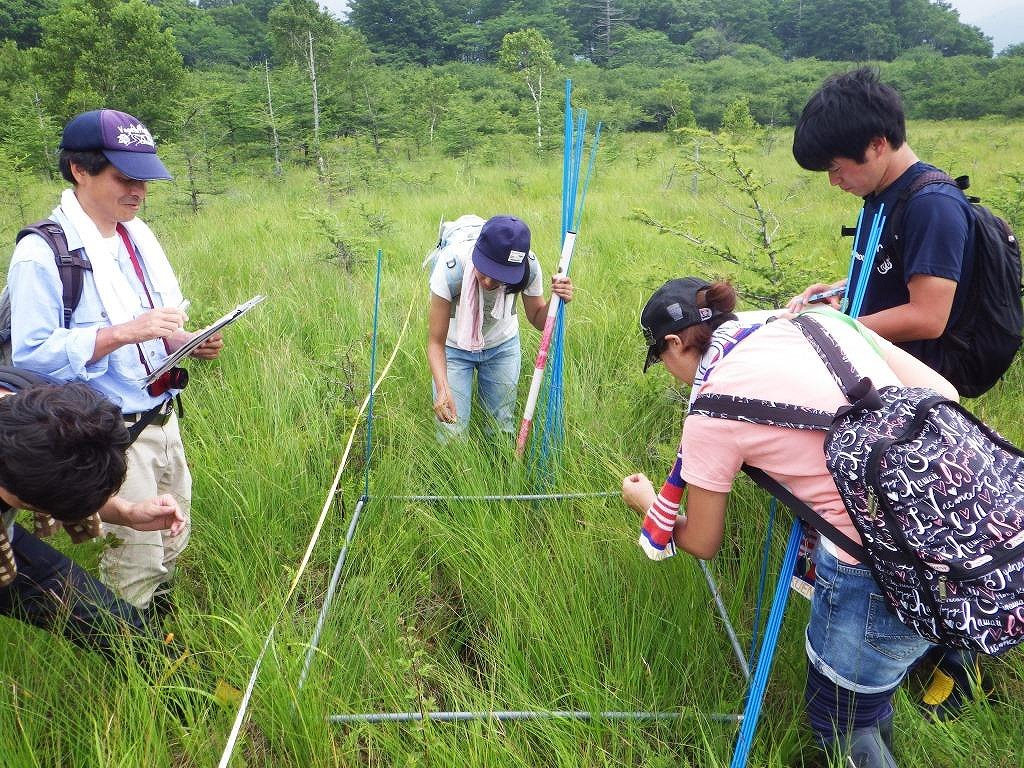 湿原調査の様子