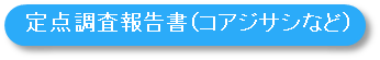 コアジサシ類定点調査の成果物